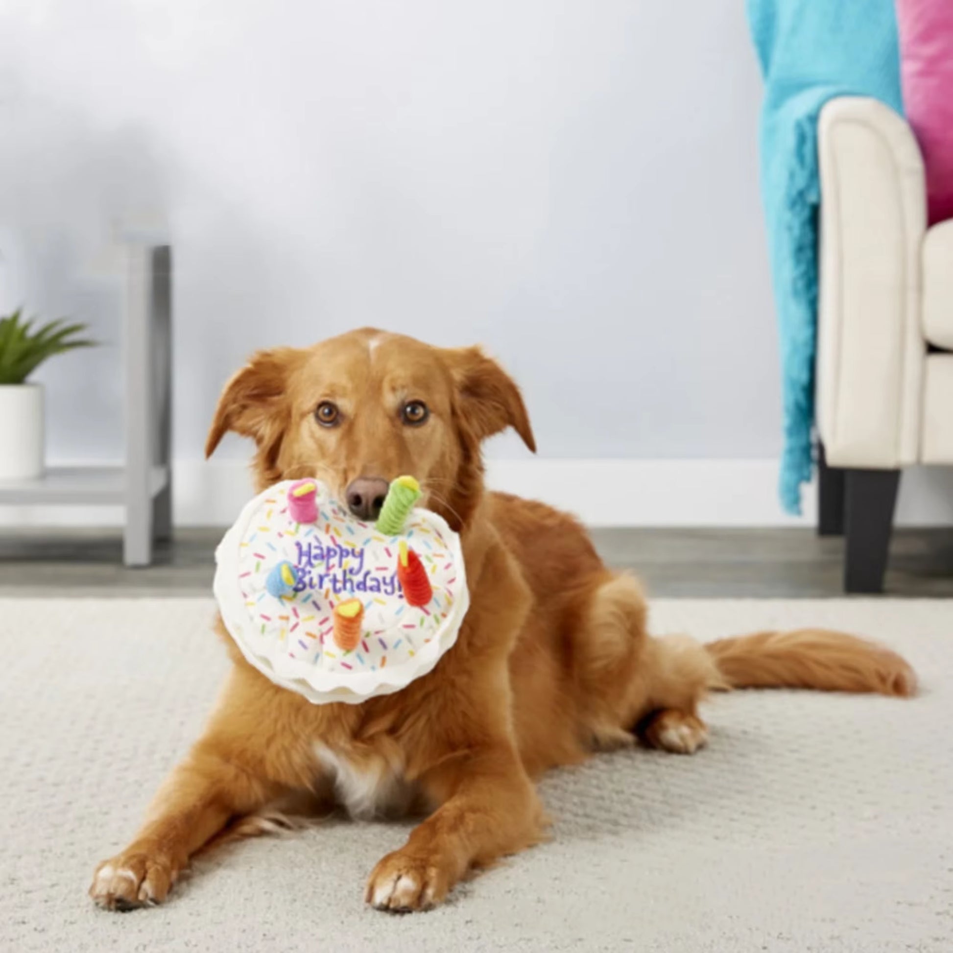 Dog Birthday Cake Toy Soft Plush Squeaky with Colourful Candles Durable Funny Stuffed Chew for Large Breeds Birthday Gift Scarf